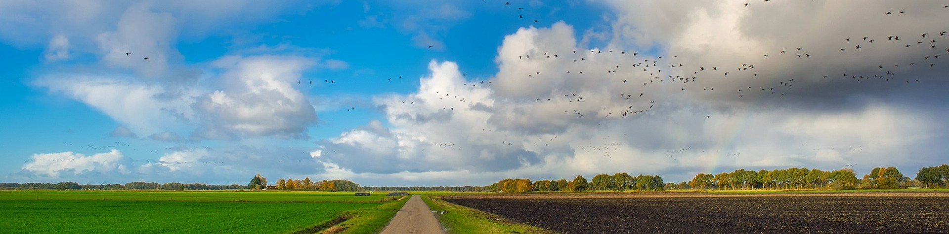 TipWageningen